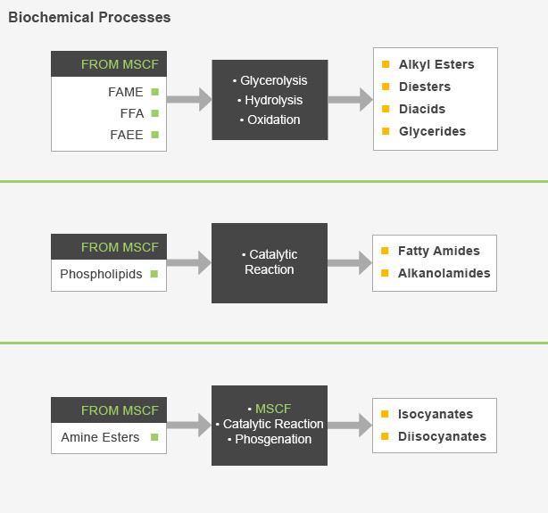 Flow chart